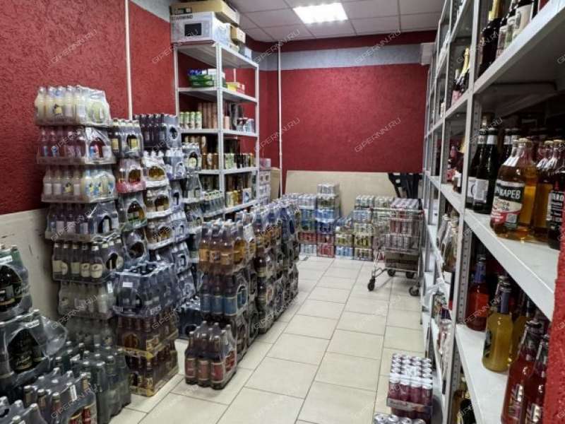 готовый бизнес готовый арендный бизнес "бристоль". 1/2 доля в Сормовском районе Нижнего Новгорода
